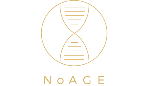 logo NoAGE logo NoAGE