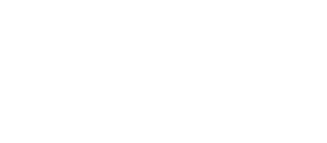 SEB Wordmark RGB White